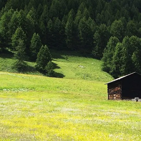 Mountain Apartment Livigno
